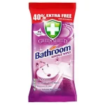 GREEN SHIELD CHUSTECZKI BATHROOM A'70